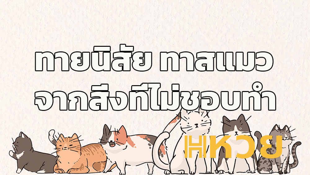 ทายนิสัย ทาสแมวจากสิ่งที่ไม่ชอบทำ